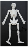 Stretchy Skeleton - Fidgets - Anatomy - Halloween