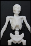Stretchy Skeleton - Fidgets - Anatomy - Halloween