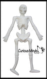 Stretchy Skeleton - Fidgets - Anatomy - Halloween