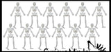 Stretchy Skeleton - Fidgets - Anatomy - Halloween