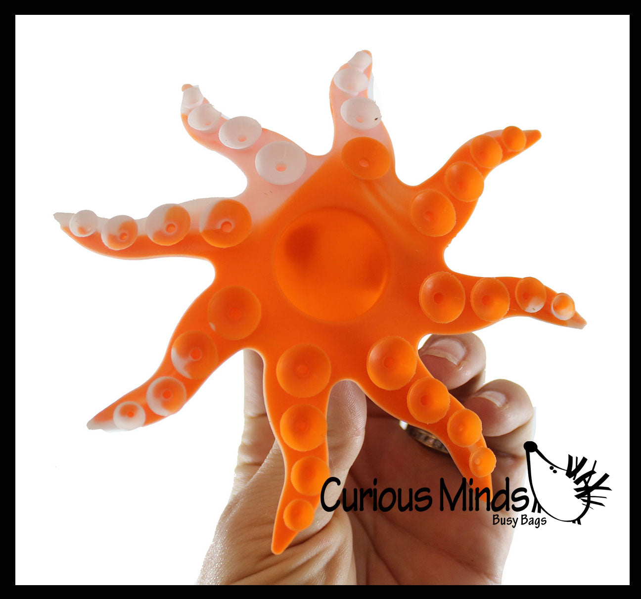 LAST CHANCE - LIMITED STOCK  - SALE - Octopus Shape Suction Cup Strip Fidget Pop Toy - Unique Sensory Popping Toy - Stick and Peel Octopus Tentacle Fidget