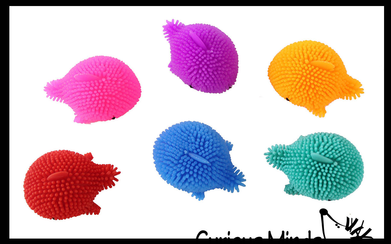 LAST CHANCE - LIMITED STOCK  - SALE - Mini Puffer Dolphins - Small Novelty Toy - Party Favors - Cute Tiny Fidget Toys - Dolphin Lover