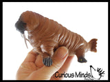 Walrus Stretchy and Squeezy Toy - Crunchy Bead Filled - Fidget Stress Ball