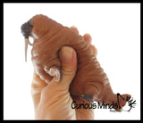Walrus Stretchy and Squeezy Toy - Crunchy Bead Filled - Fidget Stress Ball
