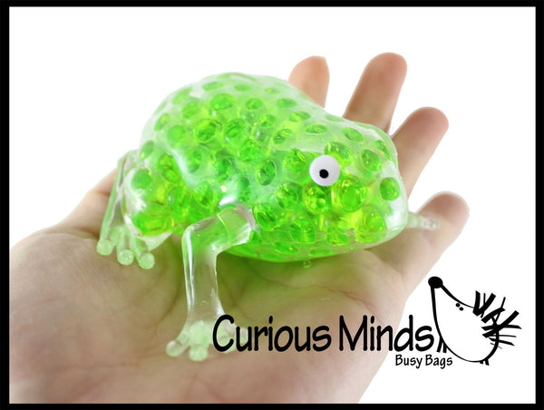 Large Frog Water Bead Filled Squeeze Stress Ball - Sensory, Stress, Fi