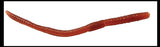 Stretchy Earthworm Stretchy Noodle Fidget Toys - Fun Realistic Worm Long Stretch Toys - Soft & Flexible - Fidget Sensory Toy - Stretchy Noodle String