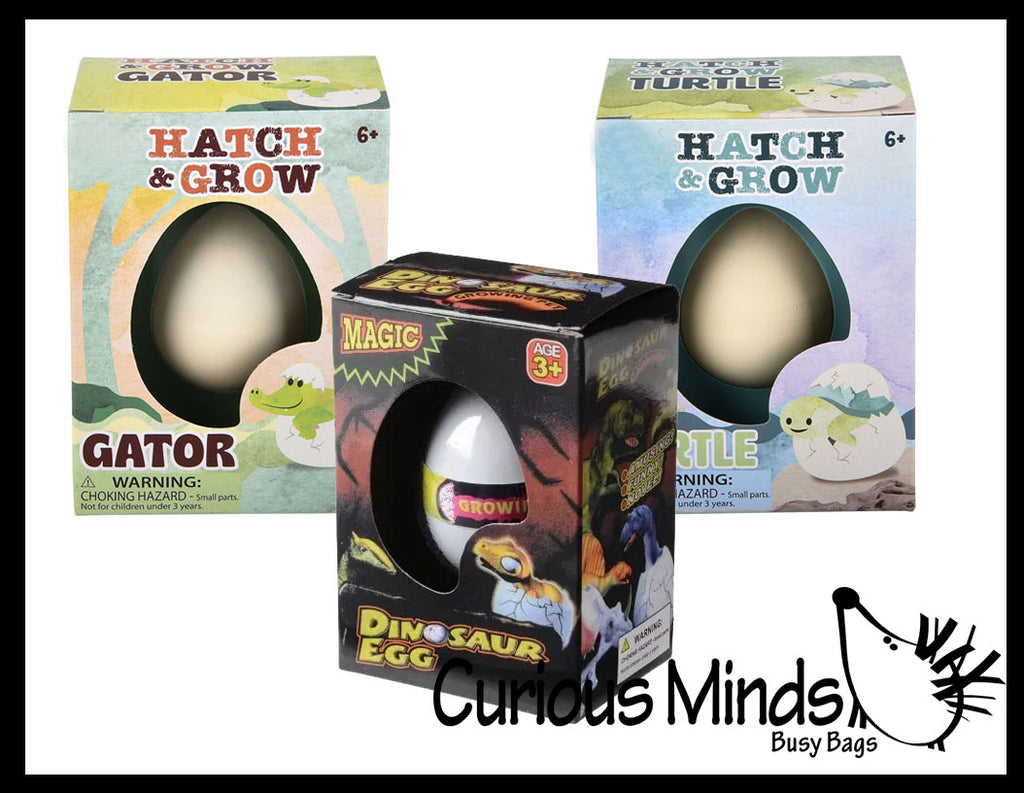 Set of 3 - Hatch and Grow a Animal Egg in Water - DINO, ALLIGATOR and TURTLE - Add Water and it Grows Gator - Critter Toy Bath - Soak in Water and It Expands