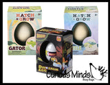 Set of 3 - Hatch and Grow a Animal Egg in Water - DINO, ALLIGATOR and TURTLE - Add Water and it Grows Gator - Critter Toy Bath - Soak in Water and It Expands