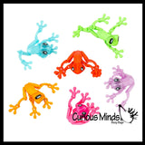 3D Printed Frog Magnet - Tree Frog Articulated Cute Magnetic Fidget