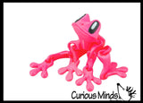 3D Printed Frog Magnet - Tree Frog Articulated Cute Magnetic Fidget