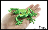 NEW - 3D Printed Large Frog in Box Fidget - Wiggle Articulated Jointed Moving Toy