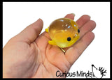 NEW - Blobfish Splat Ball -  Water Filled Splat Stress Ball - Throw to Make it Splat and Watch it Come Back Blob Fish