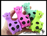 FREE GIFT with $50.00 Purchase - Your Choice