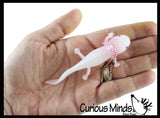 Axolotl Keychain - Squishy Cute Sea Creatures Stretchy and Squeezy Toy Figurine - Fidget Stress Ball