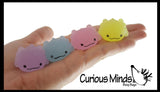 Axolotl Mochi - Cute Animal Gummy Mochi Fidget Squishy Animals - Kawaii -  Cute Individually Wrapped Toys - Sensory, Stress, Fidget Party Favor Toy