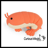 The Big Squij Jumbo Shrimp Slow-Rise Doh Squishy Toy