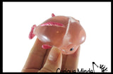 Blob Fish in Fish Bowl - Ugly and Cute Fish with Nose - Thick Glue/Gel Syrup Molasses Stretch Ball - Ultra Squishy and Moldable Slow Rise Relaxing Sensory Fidget Stress Toy