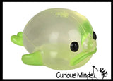 NEW - Blobfish Splat Ball -  Water Filled Splat Stress Ball - Throw to Make it Splat and Watch it Come Back Blob Fish