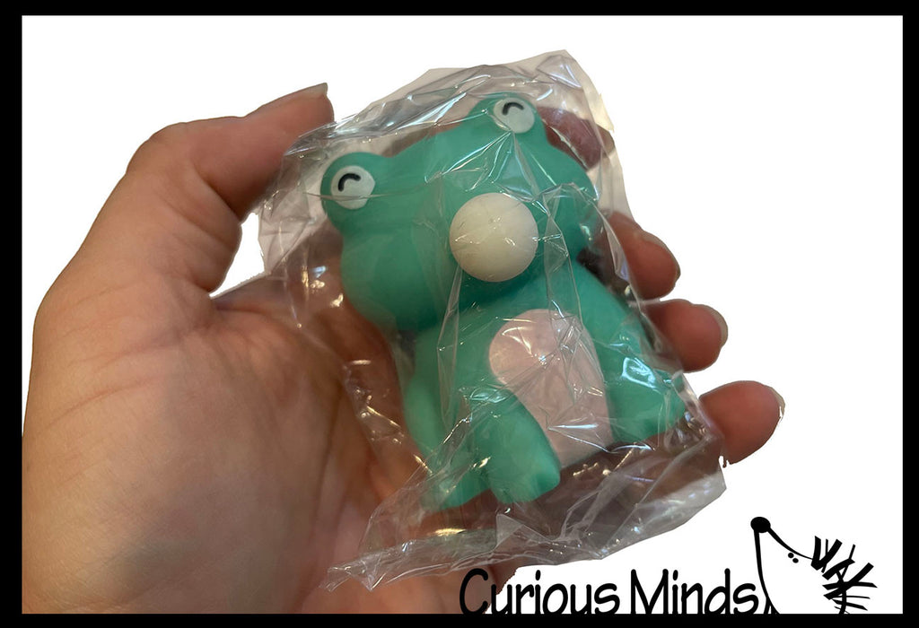 Bubble Blowing Frog Squishy Fidget Toy - Cute Animal Blowing Bubbles