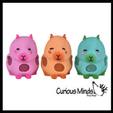 Capybara Squishy Blob Mesh Ball with Soft Web - Squishy Fidget Ball