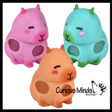 Capybara Squishy Blob Mesh Ball with Soft Web - Squishy Fidget Ball