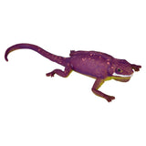 Color Changing Lizards Toy - Thermal - Changes Colors in Cold and Warm Water or Places