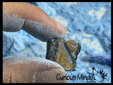 NEW - Diamond Mine Excavation Dig - Uncover Real Stones In Chalky Activity Craft - Surprise Gem