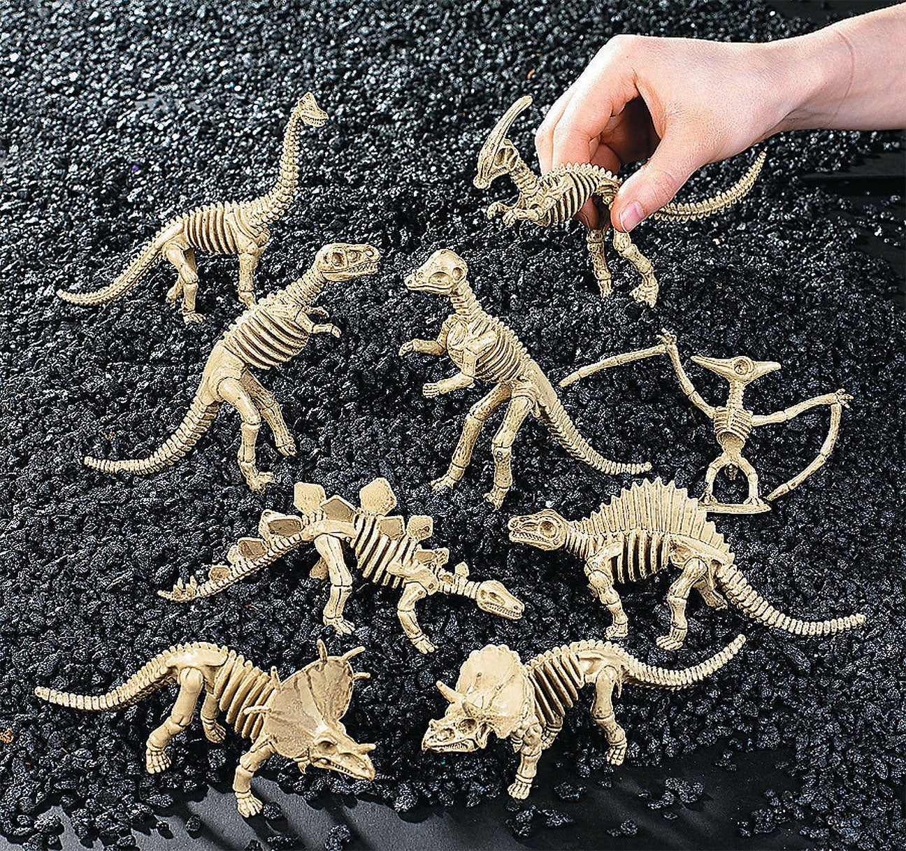 Simulation Kid 4D Modèle Animal Réaliste Dinosaure Squelette Jouet Éducatif Collection - Vvikizy Simulation Kid 4D Modèle Animal Réaliste Dinosaure Squelette Jouet Éducatif Collection - Vvikizy