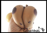 NEW - Soft Doh Capybara Animal Stress Balls - Ultra Soft Kneadable Fidget Squish Balls - Amazingly Soft