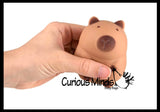 NEW - Soft Doh Capybara Animal Stress Balls - Ultra Soft Kneadable Fidget Squish Balls - Amazingly Soft