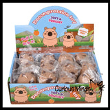 NEW - Soft Doh Capybara Animal Stress Balls - Ultra Soft Kneadable Fidget Squish Balls - Amazingly Soft