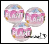 NEW - Mini Plant Succulent Flower Building Brick Block Set Toy - Cute Plastic Sphere Container Set