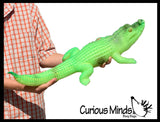 Jumbo Grow a Gator in Water - Add Water and it Grows up to 3ft - Alligator Crocodile Critter Toy