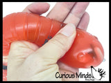 Jumbo Gross Worm - Large Squishy Sensory Gooey Fidget Toy - Filled with Bugs and Maggots