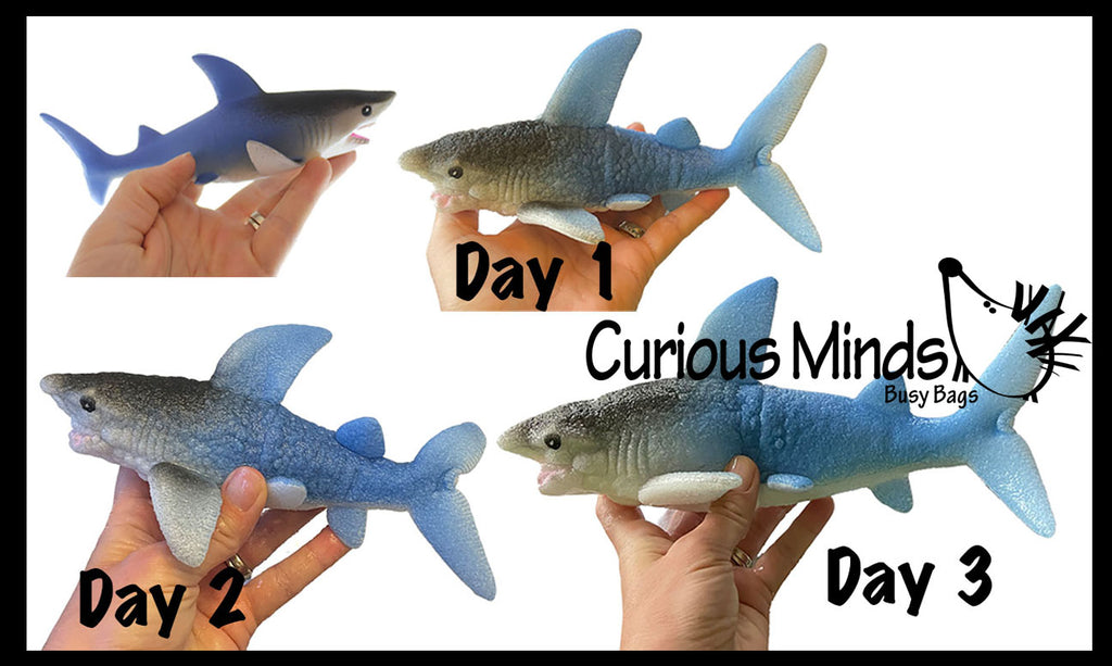 Jumbo Grow a Shark in Water - Add Water and it Grows - Critter Toy Bath