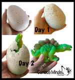 Jumbo Hatch and Grow a Dinosaur Egg in Water - Add Water and it Grows - Dino Prehistoric Critter Toy Bath - Soak in Water and It Expands