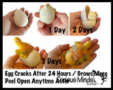 Set of 3 - Hatch and Grow a Animal Egg in Water - DINO, ALLIGATOR and TURTLE - Add Water and it Grows Gator - Critter Toy Bath - Soak in Water and It Expands