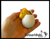 Hatch and Grow a Unicorn Egg in Water - Add Water and it Grows - Girl Critter Toy Bath - Soak in Water and It Expands
