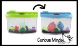 Grow Aquarium - Add Water and 2 Fish Grow - Sea Critter Toy Fun Science Expanding Novelty Magic Absorbent Polymer Toy Fake Desk Pet