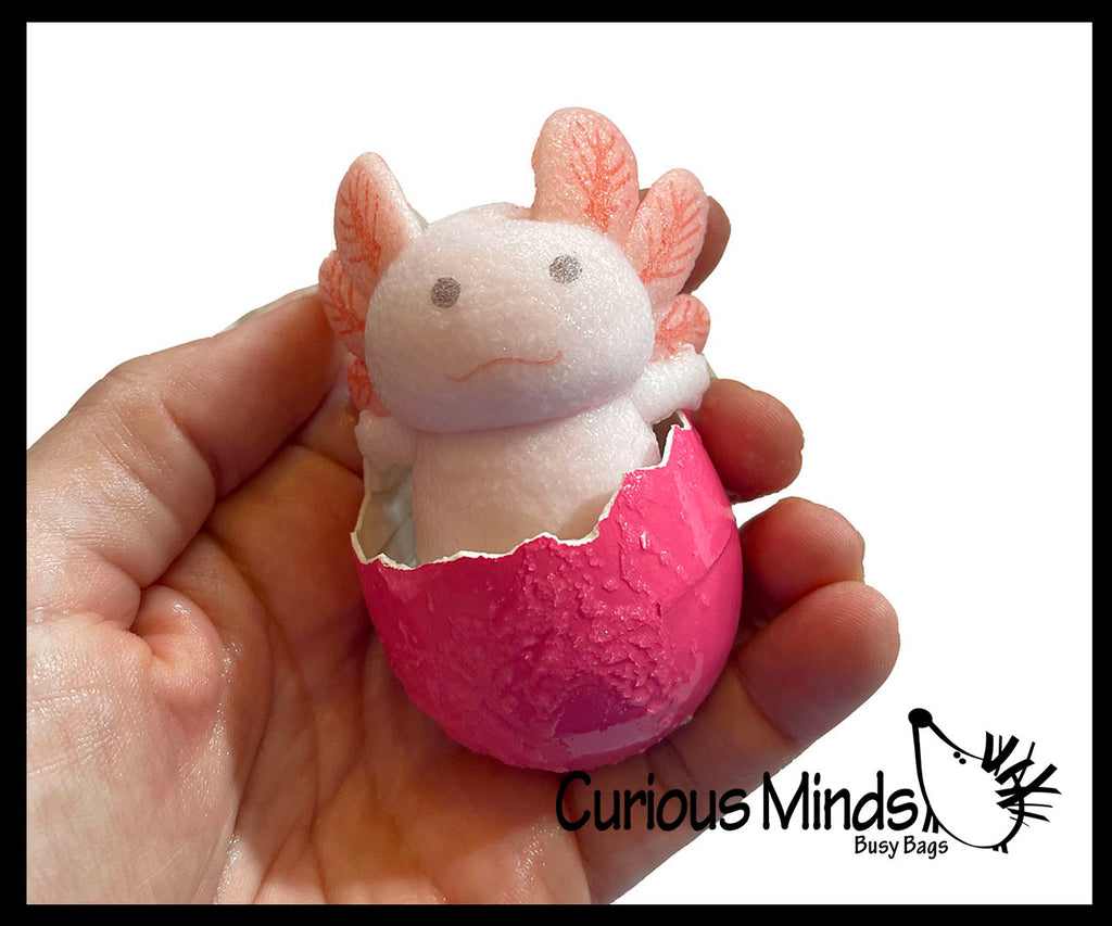 Hatch and Grow an Axolotl Egg in Water - Add Water and it Grow - Critter Toy Bath - Soak in Water and It Expands