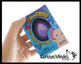 Hatch and Grow an Axolotl Egg in Water - Add Water and it Grow - Critter Toy Bath - Soak in Water and It Expands