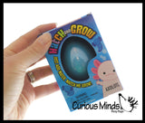 Hatch and Grow an Axolotl Egg in Water - Add Water and it Grow - Critter Toy Bath - Soak in Water and It Expands