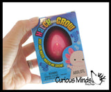 Hatch and Grow an Axolotl Egg in Water - Add Water and it Grow - Critter Toy Bath - Soak in Water and It Expands