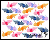 Jumbo Grow an Axolotl in Water - Add Water and it Grows - Critter Toy