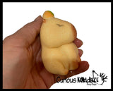 Hatch and Grow a Capybara in Water - Add Water and it Grows Toy Fun Science Expanding Novelty Magic Absorbent Polymer Toy