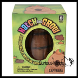 Hatch and Grow a Capybara in Water - Add Water and it Grows Toy Fun Science Expanding Novelty Magic Absorbent Polymer Toy