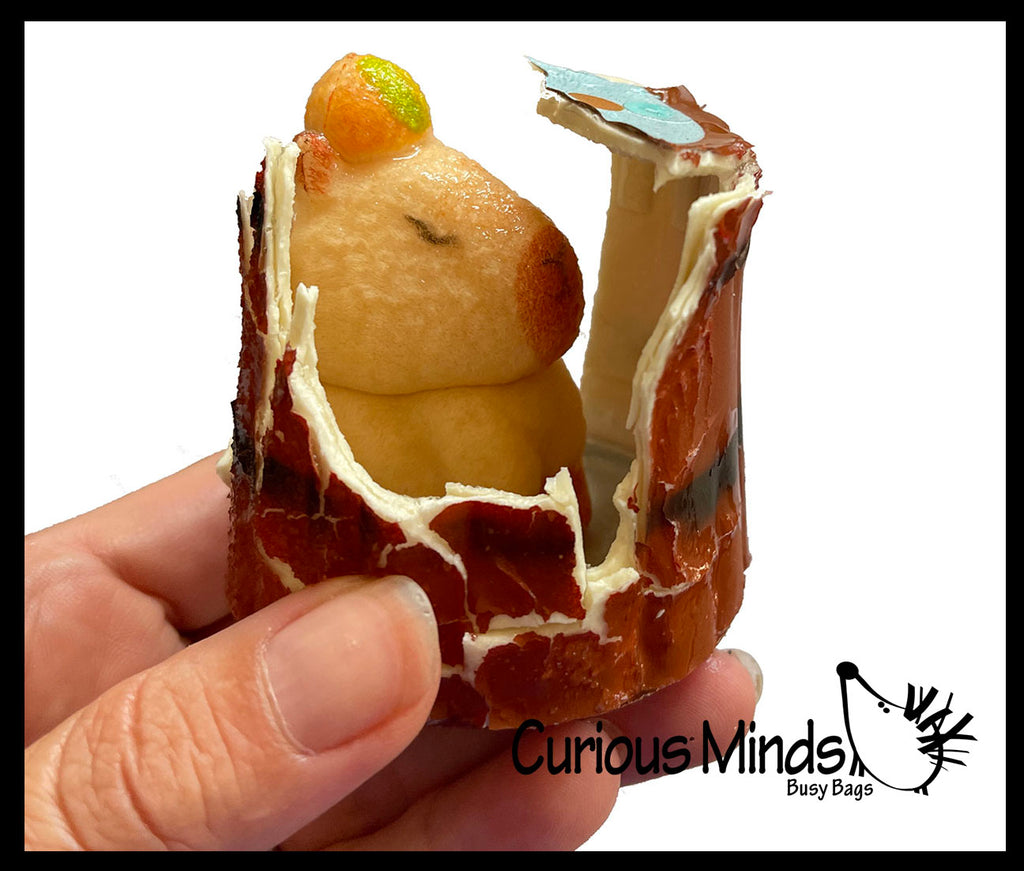 Hatch and Grow a Capybara in Water - Add Water and it Grows Toy Fun Science Expanding Novelty Magic Absorbent Polymer Toy