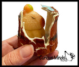 Hatch and Grow a Capybara in Water - Add Water and it Grows Toy Fun Science Expanding Novelty Magic Absorbent Polymer Toy