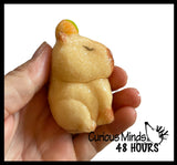Hatch and Grow a Capybara in Water - Add Water and it Grows Toy Fun Science Expanding Novelty Magic Absorbent Polymer Toy