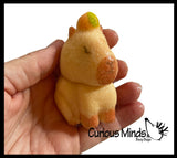 Hatch and Grow a Capybara in Water - Add Water and it Grows Toy Fun Science Expanding Novelty Magic Absorbent Polymer Toy